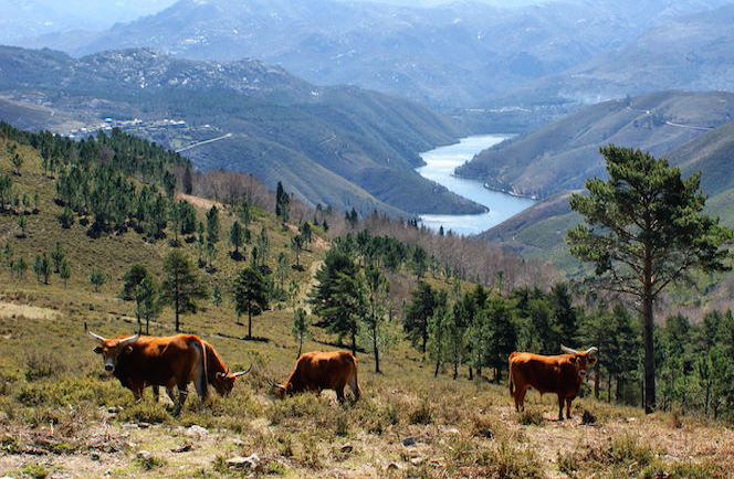 Pousada Fly Drive Noord Portugal 1